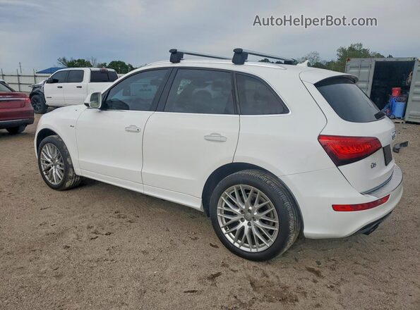 WA1M2AFP8HA076538 2017 AUDI Q5 White უკანა მარცხენა