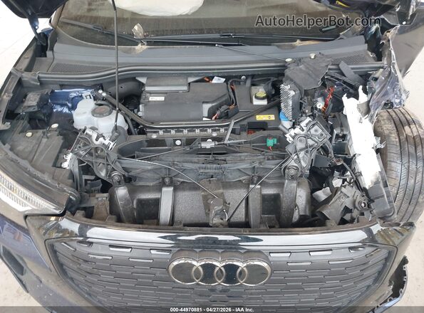 WA1M2BFZ9RP023059 2024 AUDI Q4 Blue Widok z tyłu