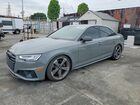 2019 Audi S4 Premium Plus Gray vin: WAUB4AF41KA026131