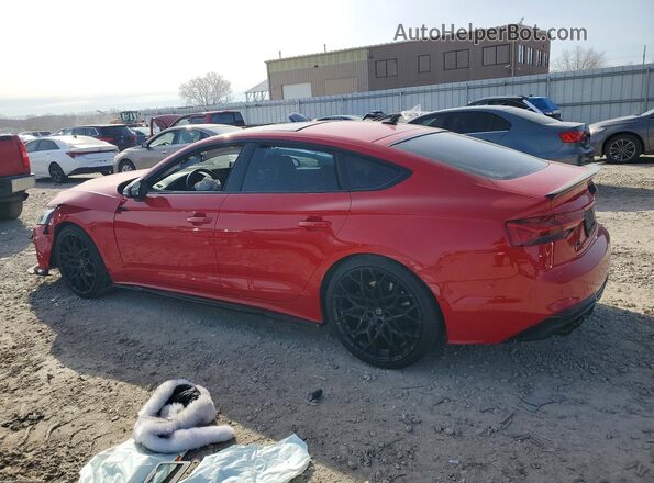 WAUB4CF52PA006076 2023 AUDI S5 Красный Задняя левая четверть
