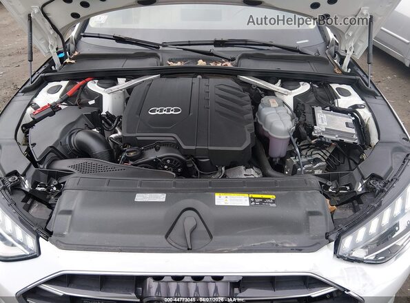 WAUBBAF4XPA036363 2023 AUDI OTHER White Widok z tyłu