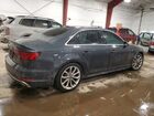 2019 Audi A4 Premium Plus Gray vin: WAUENAF4XKN005667