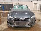 2019 Audi A4 Premium Plus Gray vin: WAUENAF4XKN005667