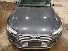 2019 Audi A4 Premium Plus Gray vin: WAUENAF4XKN005667
