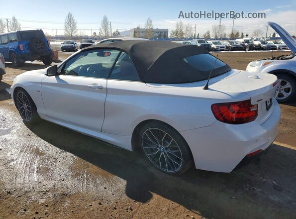WBA2L3C33HV667597 2017 BMW M2 Белый Задняя левая четверть