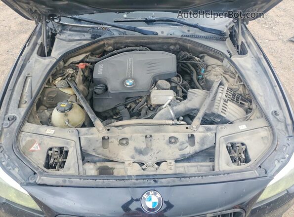 WBA5A5C5XGD528989 2016 BMW OTHER Черный Вид задней части салона
