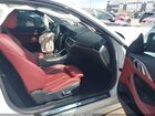 2023 Bmw M440i   White vin: WBA83AP07PCL39298