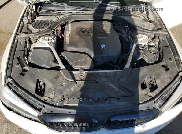 WBAJR3C03LCE66919 2020 BMW 5 SERIES Белый Вид задней части салона