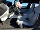 2025 Bmw M8 Black vin: WBSGV0C07SCW34461