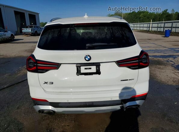 WBX47DP05RN259337 2024 BMW X3 White Вид ззаду