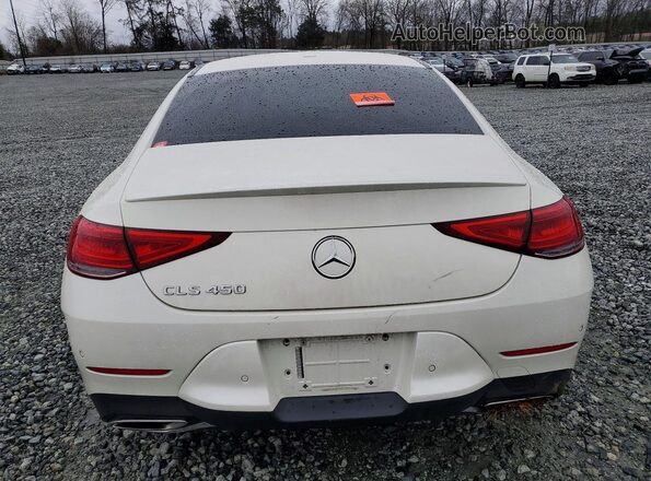 WDD2J5JB1KA028265 2019 MERCEDES-BENZ CLS-CLASS Белый Вид сзади
