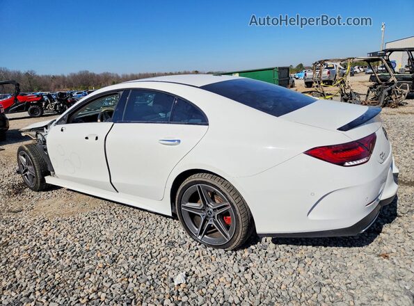 WDD2J5KB3KA028461 2019 MERCEDES-BENZ CLS-CLASS White Tył lewy