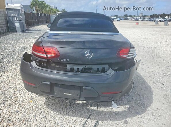 WDDWK8DB9KF851038 2019 MERCEDES-BENZ C Серый Вид сзади