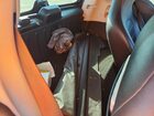 2016 Smart Fortwo Белый vin: WMEFJ5DA5GK057642