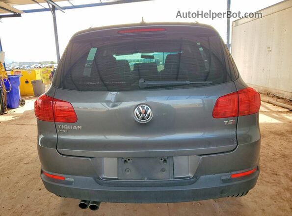 WVGAV7AX2JK002019 2018 VOLKSWAGEN TIGUAN Серый Вид сзади