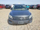 2016 Volkswagen Tiguan S Серый vin: WVGAV7AXXGW514144
