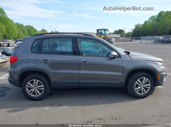 WVGBV7AX9GW520179 2016 VOLKSWAGEN TIGUAN Серый Вид задней части салона