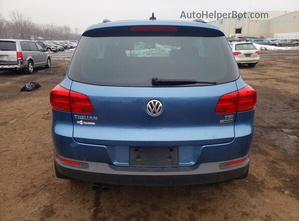 WVGSV7AX5HK004572 2017 VOLKSWAGEN TIGUAN Blue Widok z tyłu