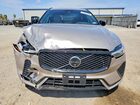 2026 Volvo Xc60 Plus Золотой vin: YV4M12RC1T1403164