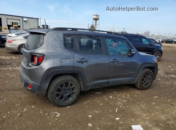 ZACNJABB6LPL87754 2020 JEEP RENEGADE Gray Задня права чверть
