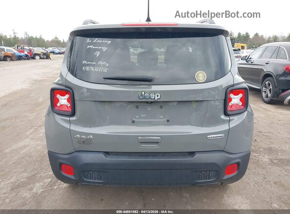 ZACNJBB14LPL00186 2020 JEEP RENEGADE Gray 