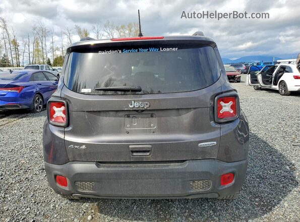 ZACNJBBB2LPL03533 2020 JEEP RENEGADE Gray Հետևի տեսք