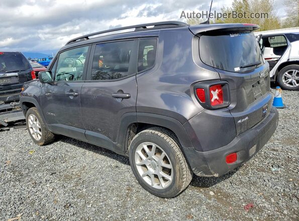 ZACNJBBB2LPL03533 2020 JEEP RENEGADE Gray Հետևի ձախ