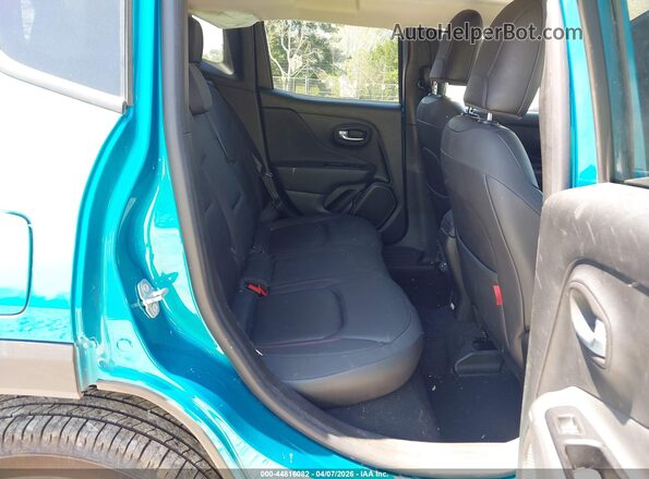 ZACNJBC10LPL98034 2020 JEEP RENEGADE Teal Widok naklejki z numerem VIN