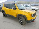 2019 Jeep Renegade Trailhawk Желтый vin: ZACNJBC14KPJ90480