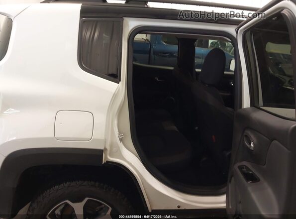 ZACNJBC17LPL02772 2020 JEEP RENEGADE Белый Вид наклейки с VIN-кодом