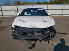2024 Dodge Hornet R Белый vin: ZACPDFCW4R3A28405
