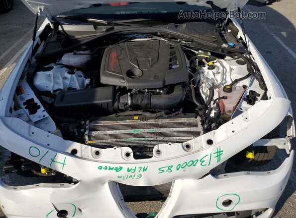 ZARFAMBN4P7669628 2023 ALFA ROMEO GIULIA Белый Вид задней части салона
