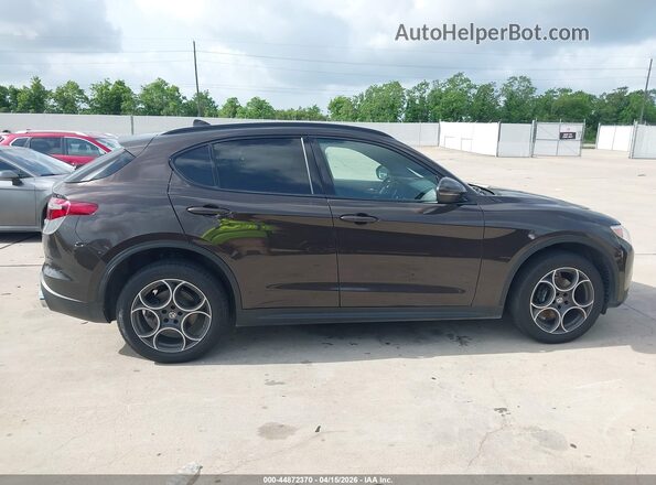 ZASFAKNN4J7B81076 2018 ALFA ROMEO STELVIO Brown Widok wnętrza z tyłu