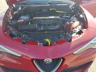2019 Alfa Romeo Stelvio Красный vin: ZASPAKAN5K7C44407