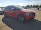 2019 Alfa Romeo Stelvio Красный vin: ZASPAKAN5K7C44407