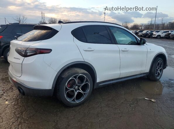 ZASPAKBN4R7D74560 2024 ALFA ROMEO STELVIO Белый Задняя правая четверть