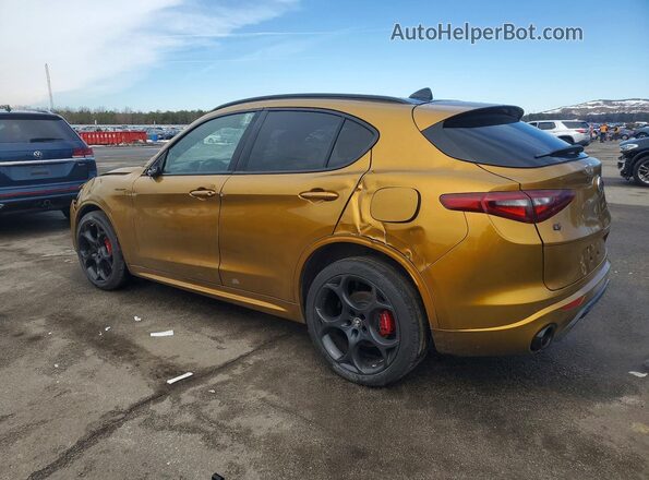 ZASPAKBNXP7D58392 2023 ALFA ROMEO STELVIO Gold Tył lewy