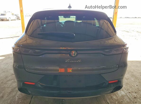 ZASPATCW0R3038700 2024 ALFA ROMEO OTHER Gray უკანა ხედი