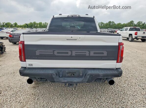 1FTFW1RG6RFA80316 2024 FORD F150 White Vista trasera