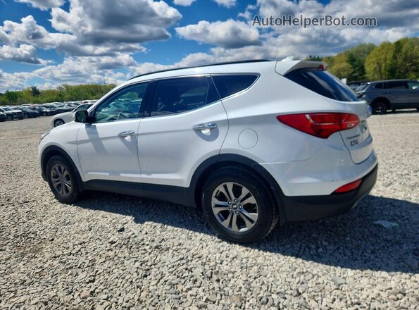 5XYZUDLB7GG343263 2016 HYUNDAI SANTA Белый Задняя правая четверть