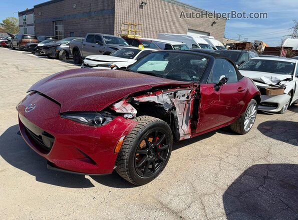 JM1NDAC79R0607083 2024 MAZDA MX-5 Темно-бордовый Задняя правая четверть