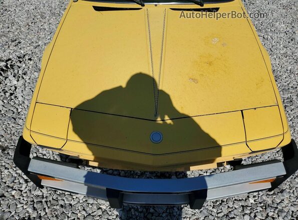 128AS0055503 1976 FIAT UK Yellow Rear interior view