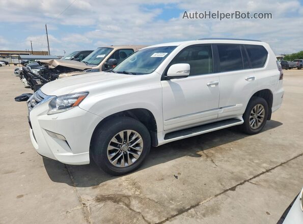 JTJJM7FX3H5174498 2017 LEXUS GX White Tył lewy