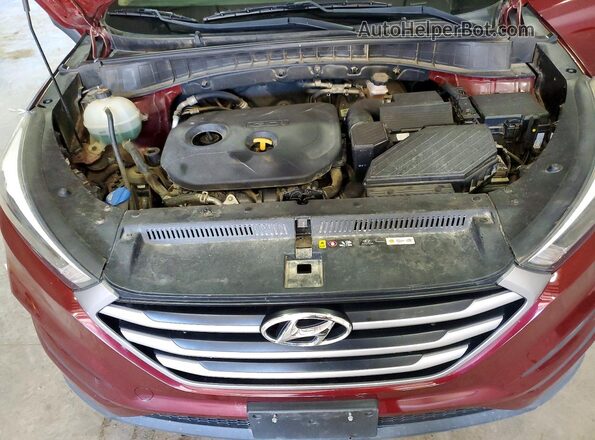 KM8J3CA49HU504495 2017 HYUNDAI TUCSON Red Вид наклейки з VIN-кодом