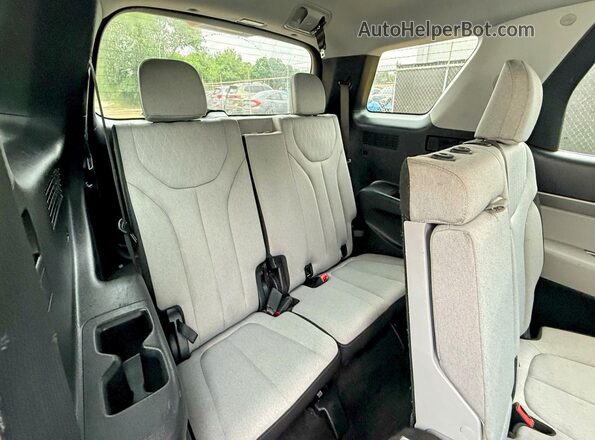 KM8R14HE6LU037087 2020 HYUNDAI PALISADE Белый Вид подкапотного пространства