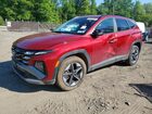2025 Hyundai Tucson Sel Красный vin: 5NMJBCDE7SH545198