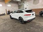 2019 Jaguar F-pace Premium White vin: SADCJ2FX5KA364541