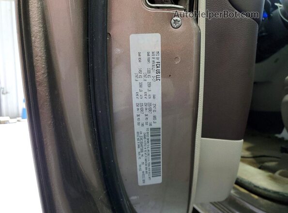 2C4RC1BG4HR733698 2017 CHRYSLER PACIFICA Коричневый Панорамный вид салона 360°