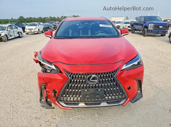 2T2ADCAZ0RC007052 2024 LEXUS NX Красный Вид спереди