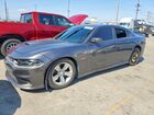 2019 Dodge Charger Scat Pack Серый vin: 2C3CDXGJ6KH564036 2019 Dodge Charger Scat Pack Серый vin: 2C3CDXGJ6KH564036